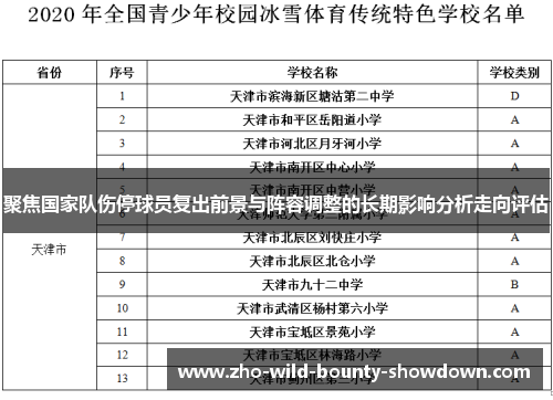 聚焦国家队伤停球员复出前景与阵容调整的长期影响分析走向评估